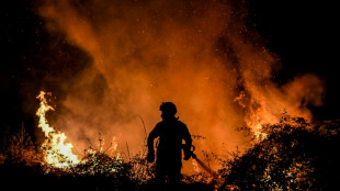 L'Europe occidentale encore accablée par les feux de forêt et la canicule 