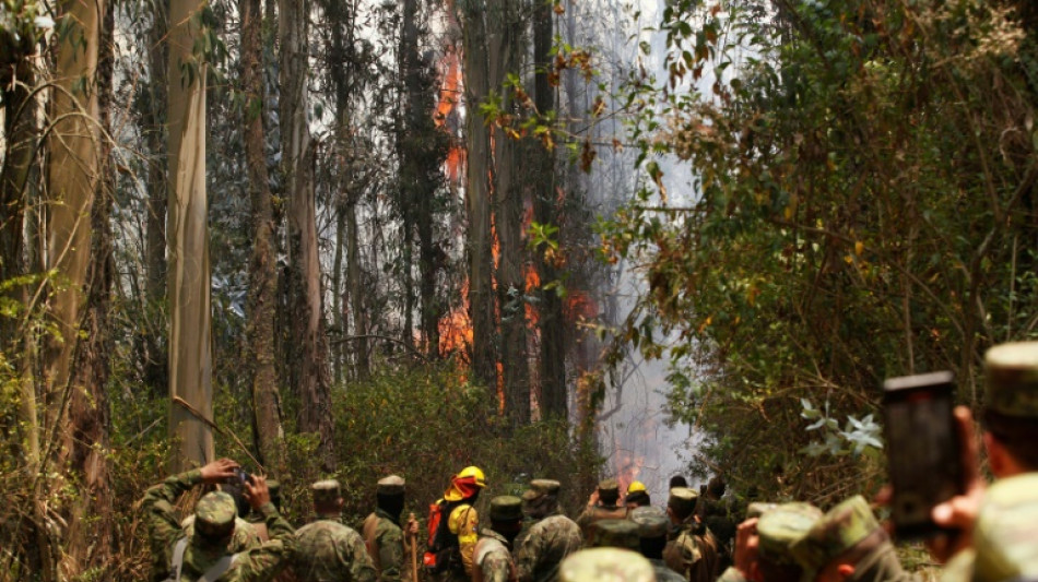 Equateur: la capitale Quito en "état d'urgence" face à 27 incendies de forêts