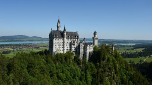 Acht Monate nach Tötungsdelikt an Schloss Neuschwanstein ab 19. Februar Prozess