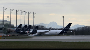 Paar steht im Flugzeug vor Landung auf - Pilot veranlasst Abholung durch Polizei