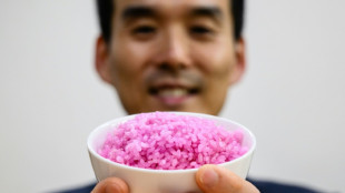 Científicos surcoreanos crean "arroz carnoso" con alto contenido de proteínas