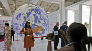 A thirsty COP27 climate summit plagued by glitches