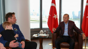 Erdogan pide a Musk que abra una fábrica Tesla en Turquía