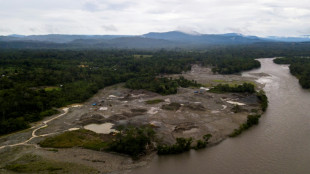 Tribunales y selva, los dos frentes de la batalla contra la minería en la Amazonía de Ecuador