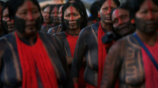 Indígenas acampan en Brasilia contra Bolsonaro: "La Amazonía no puede morir"