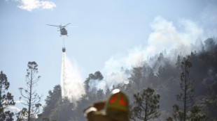 Combaten incendio que ya arrasó casi 600 hectáreas en parque nacional de Argentina