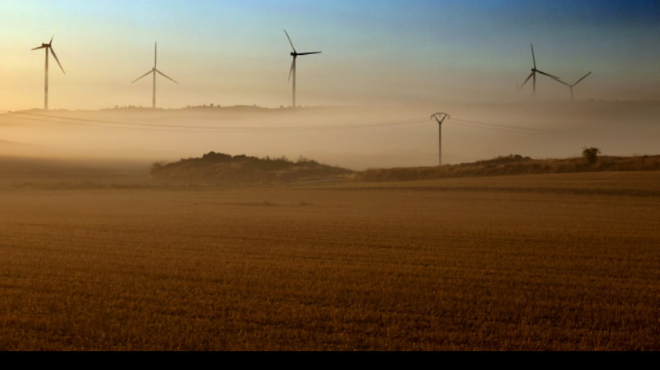 Por primera vez en la UE, la energía eólica y la solar superaron al gas en 2022