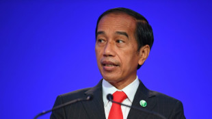 Indonesia to push for new global health agency, president says