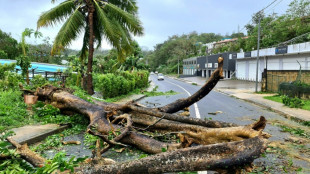 Disaster-hit Vanuatu hopes for 'historic' UN climate change resolution