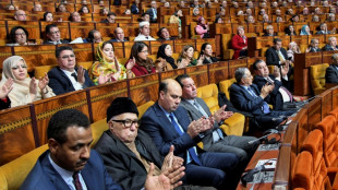 Morocco votes to review ties with European Parliament