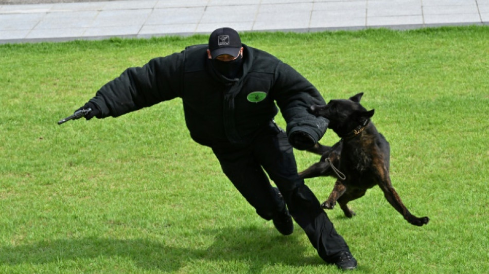 Polizeihunde spüren Flüchtigen nach rasanter Verfolgungsjagd auf