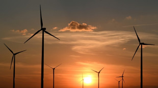 Netzentgelte sinken "spürbar" in Regionen mit viel Wind- und Solarstrom