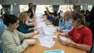 Suiza admite errores en recuento electoral