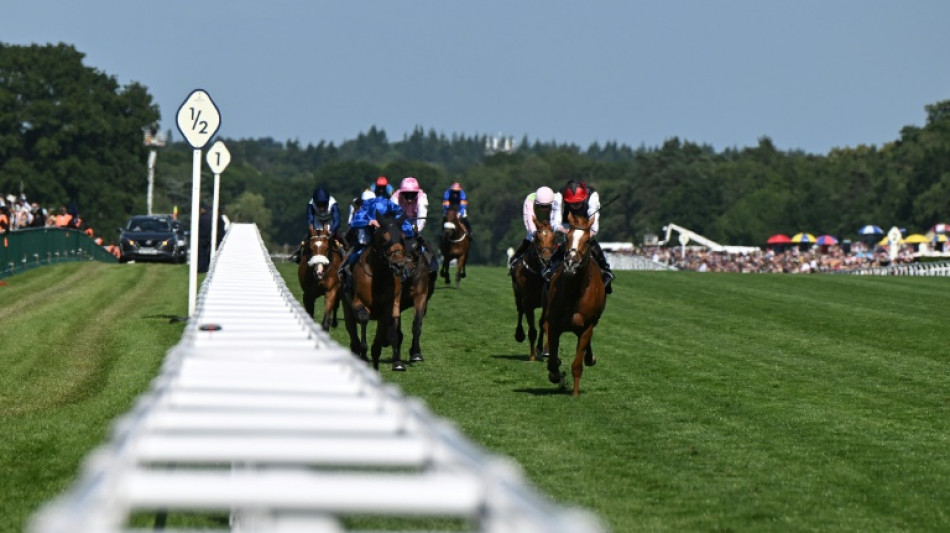 O'Brien hailed as a 'genius' after Kyprios regains Ascot Gold Cup