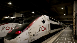 Todos los trenes de alta velocidad circulan con normalidad en Francia, anuncia el ministro