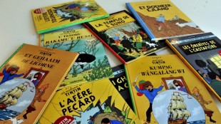 Tintin comic new edition addresses racism controversy