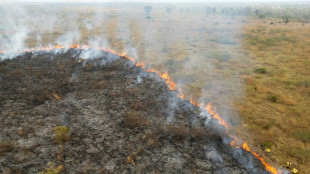 Au Pantanal, une pompière endeuillée lutte contre les flammes