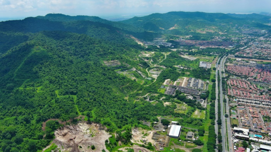 Cerro Blanco, la "isla" verde de Guayaquil acechada por la deforestación