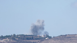 L'Idf conferma l'uccisione del capo di Hamas in Libano