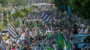 Manifestación progubernamental en Pakistán y nueva audiencia para Khan