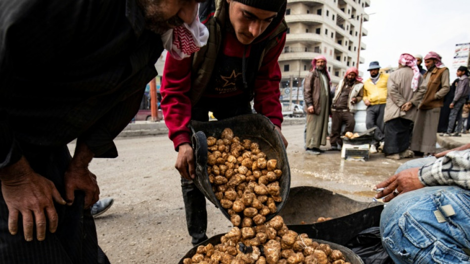 Al menos 18 recolectores de trufas muertos en un ataque imputado al grupo EI en Siria