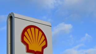 Shell logs 'strong' quarter as earnings fall but top expectations