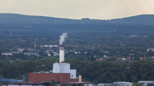 L'incinérateur de Toulouse est le plus polluant de France, selon une ONG