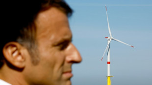 Plus d'éolien et de nucléaire : Macron fixe le cap