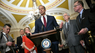 John Thune wird neuer Vorsitzender der Republikaner im US-Senat