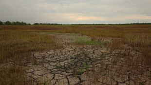 Disasters cause $3.8 trillion in crop losses over 30 years: FAO