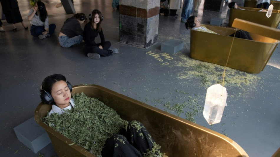 Fans immerse themselves in Marina Abramovic's first China exhibition