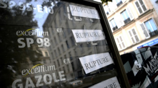 Carburants: la grève continue à TotalEnergies, le gouvernement juge "inacceptables" les blocages