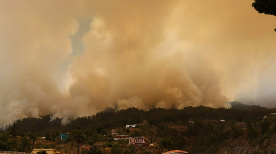 Mehr als 2000 Hektar Land innerhalb weniger Stunden auf La Palma verbrannt