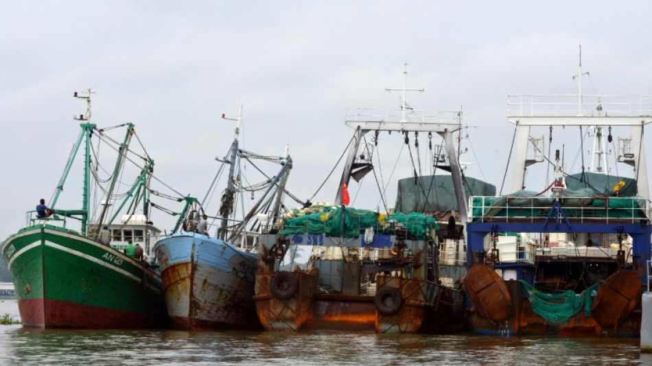 Ivory Coast imposes fishing bans in bid to conserve stocks