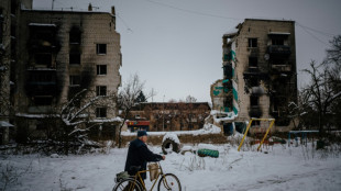 Ukraine races to restore power grid post-Russia strikes as winter comes