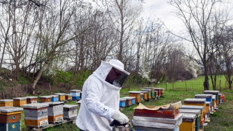 North Macedonia's beekeepers face climate change challenge