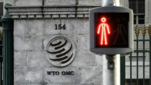 La OMC autoriza a China a imponer aranceles a productos de EEUU