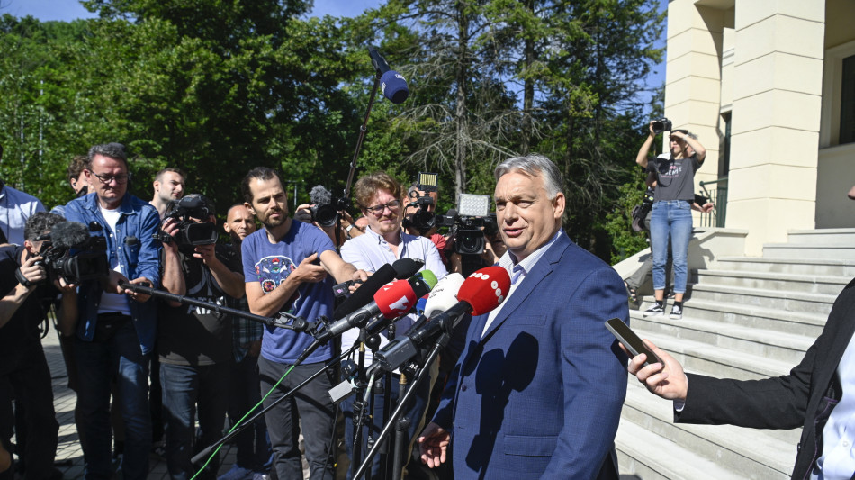 Battuta d'arresto per Orban, primo al 43,7% ma cala dell'8%