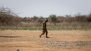 Al menos 18 soldados muertos en una emboscada y una explosión en Burkina Faso