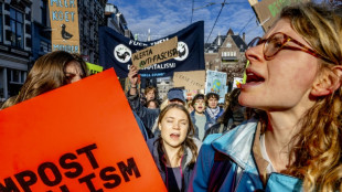 Greta Thunberg rejoint des dizaines de milliers de personnes à une manifestation sur le climat à Amsterdam