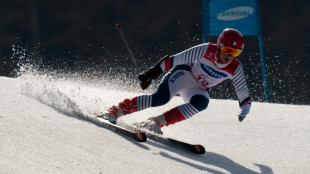 Mondiaux de ski handisport: Bochet titrée en géant