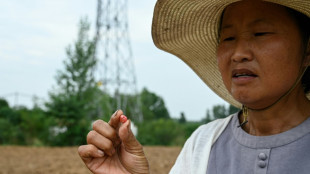 En Chine, des agriculteurs dépités face à la sécheresse