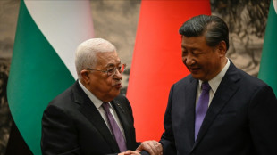 El presidente chino insta por Estado palestino que sea "miembro pleno" de la ONU