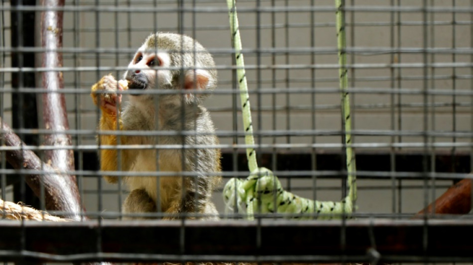 Like Escobar, Ecuador's drug lords build 'narco-zoos'