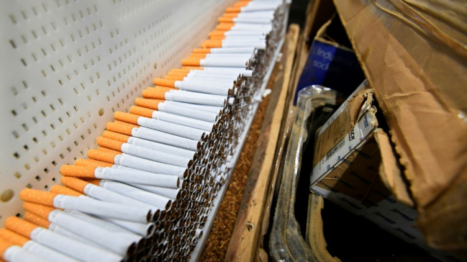 Les usines clandestines de cigarettes, machine à cash des organisations criminelles 