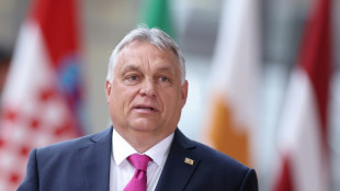 Le Hongrois Viktor Orban veut former un nouveau groupe parlementaire européen  