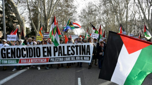 Manifiestan 20.000 en Madrid contra el "genocidio" en Gaza 