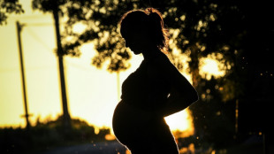 Las curas "milagrosas" contra la infertilidad inundan las redes sociales