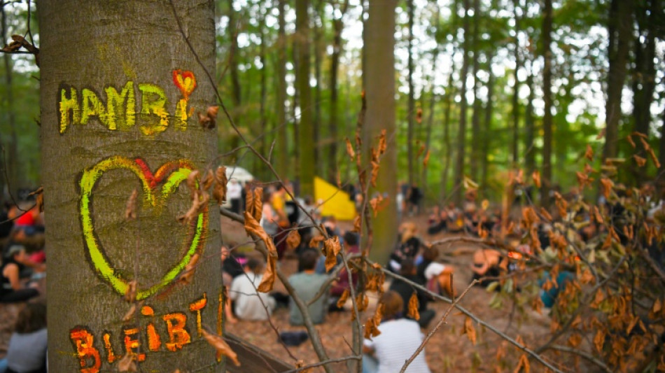 Räumung von Baumhaus in Hambacher Forst laut Urteil rechtens