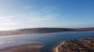 Surfers, miners fight over South Africa's white beaches